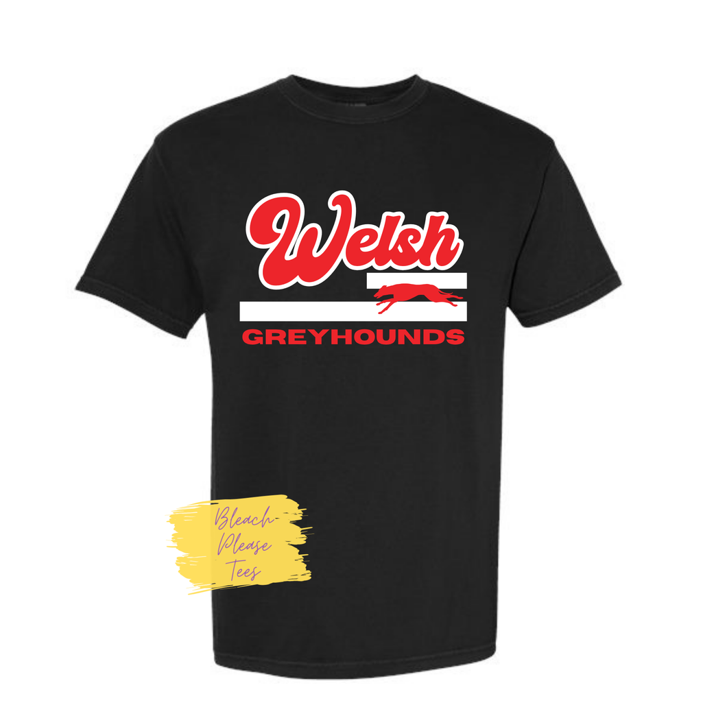Welsh Greyhounds